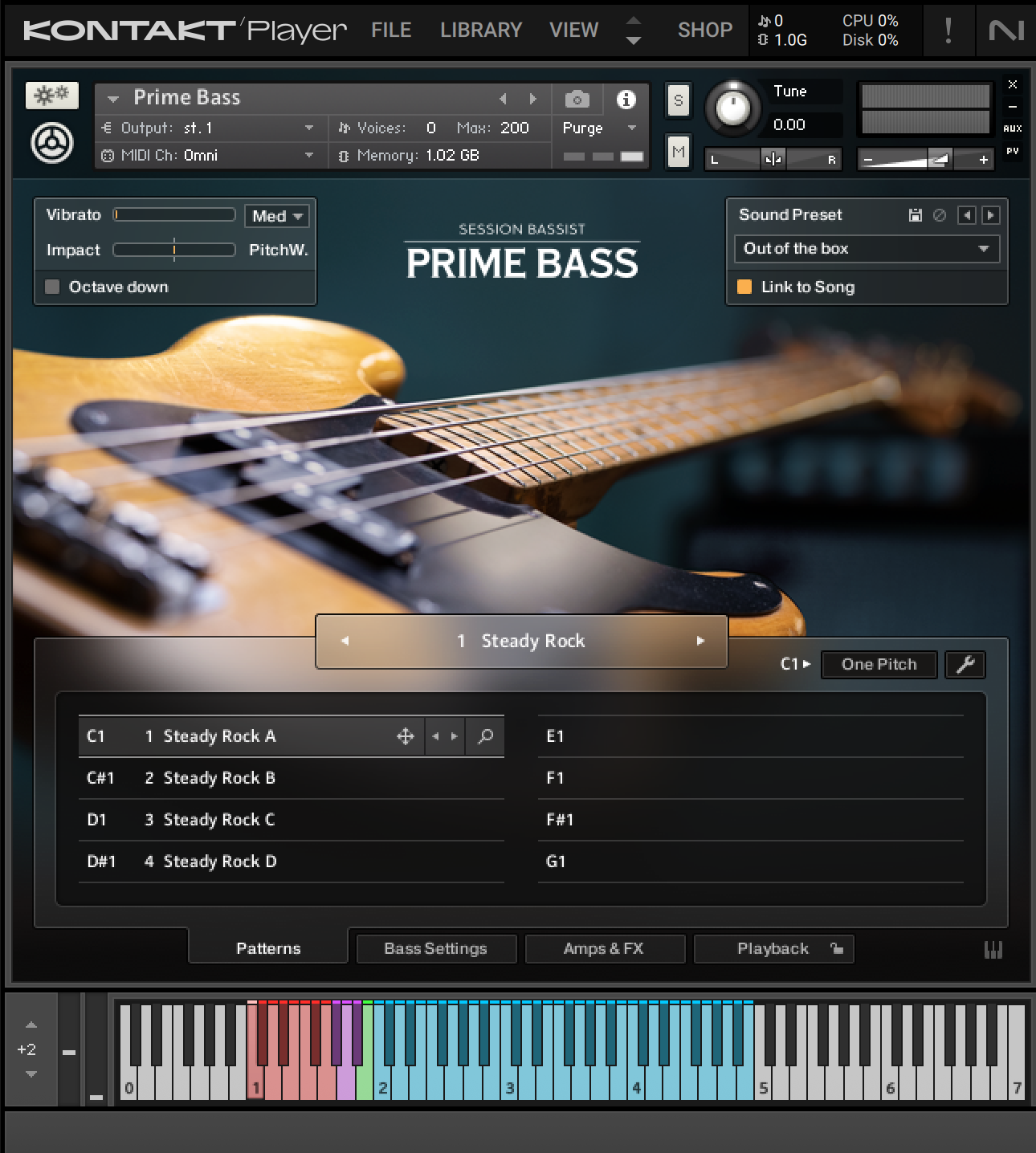 Native Instruments Session Bassist: Prime Bass